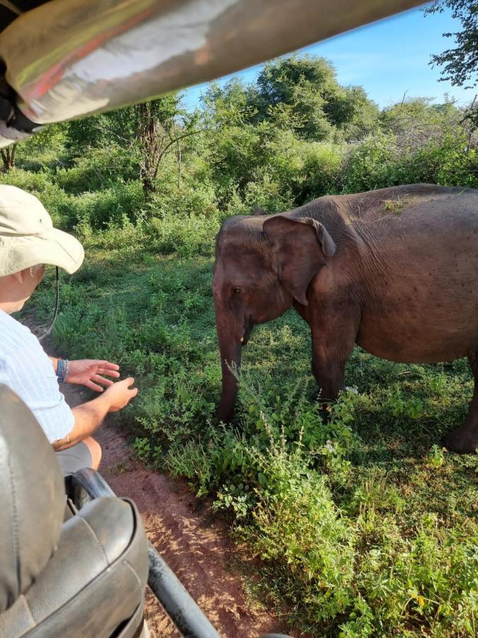 Palm Land Eco Resort And Safari Tours Udawalawe Zewnętrze zdjęcie